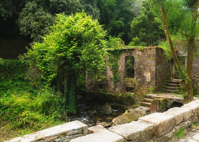 アパート Casas Do Sarela By Upper Luxury Housing サンティアゴ・デ・コンポステーラ